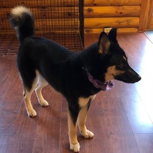 Meet your Posher, Andrew